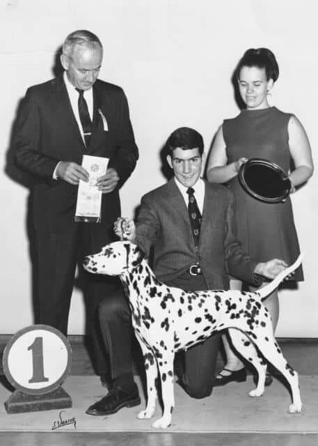 1969 - Charlie capturing Best Junior at the prestigious Westminster Kennel Club