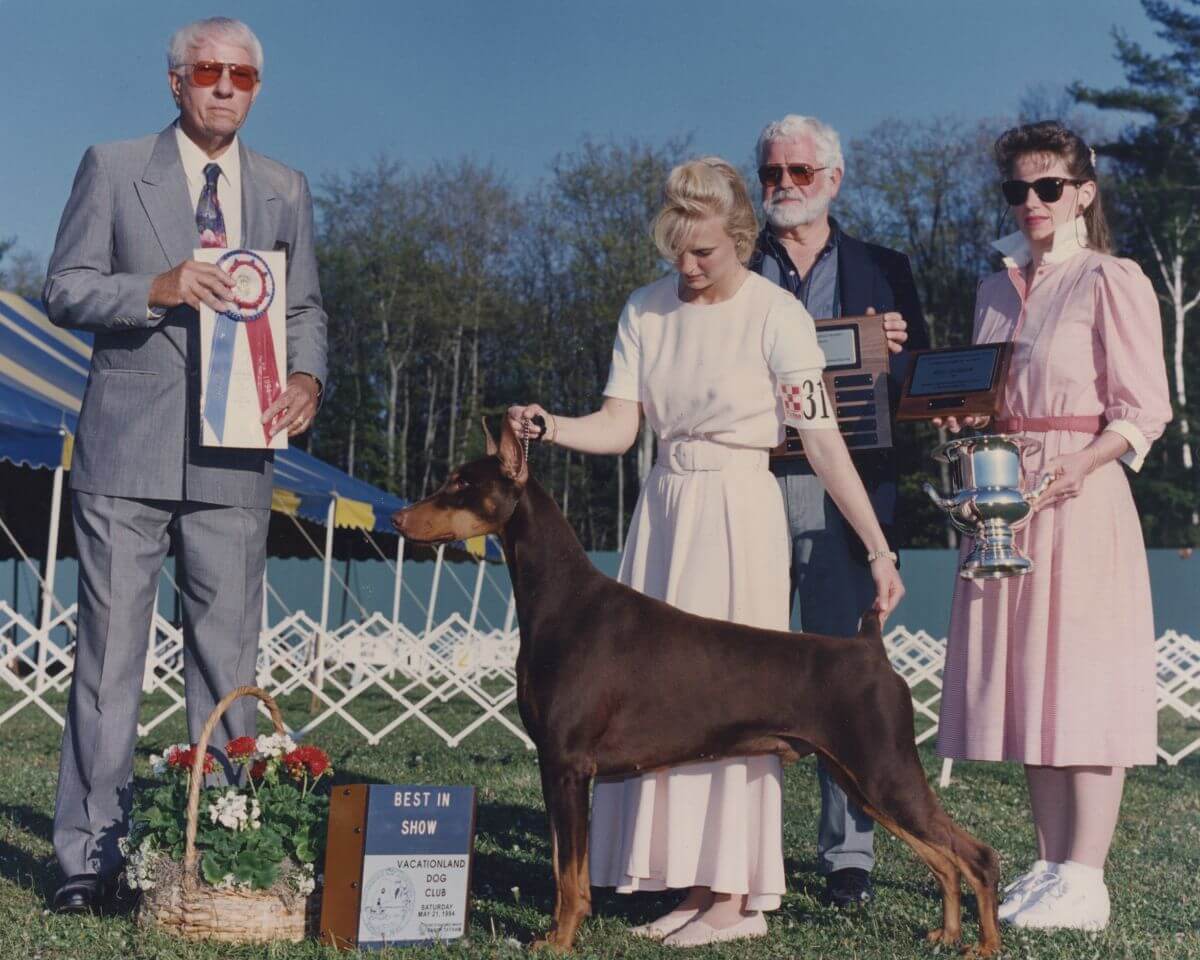 1994 - Gina DiNardo also excelled in the conformation ring at an early age.