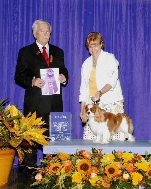 GCh. Pinecrest Sky’s The Limit Old Club BIS