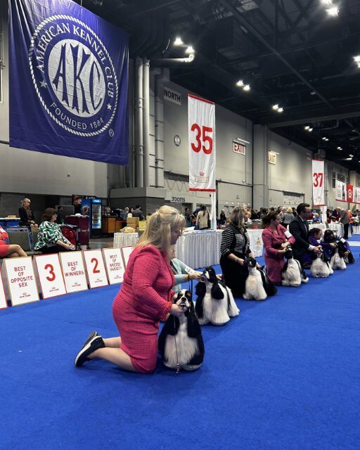 The AKC National Championship Presented by Royal Canin