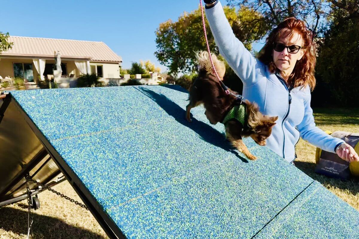 Wrigley and Kathy Practice the A-Frame, December 2024.