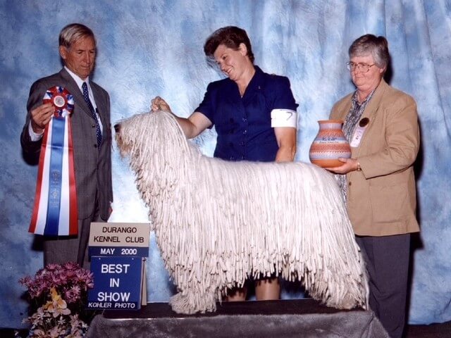 Nancy’s first BIS male, Ch. Nagyalma McCabe