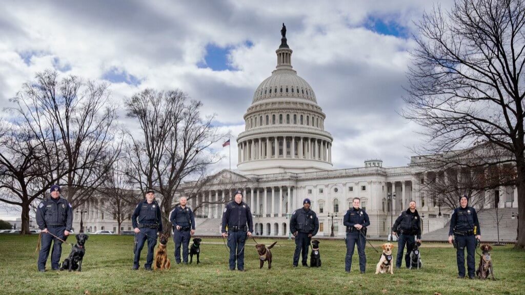 Each dog seen here was specifically bred for law enforcement, and they are in Washington, D.C. protecting our nation’s capitol.