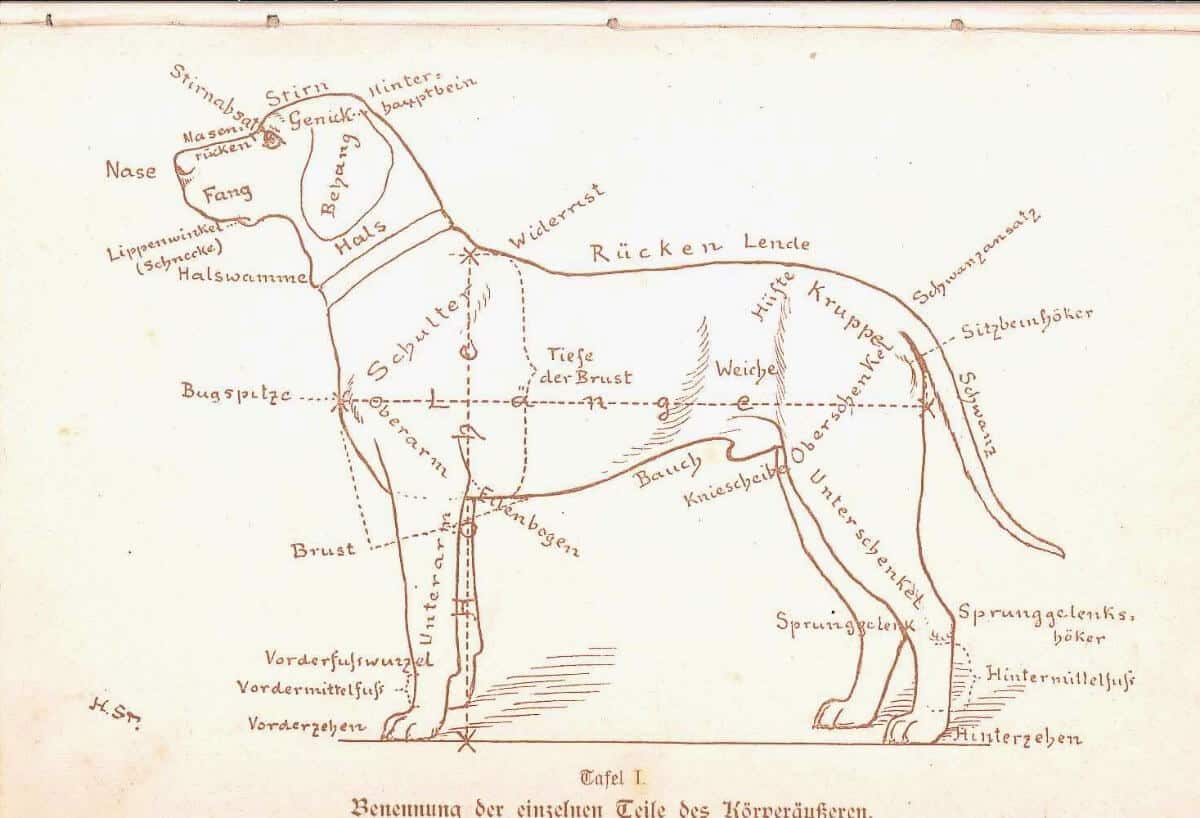 1897