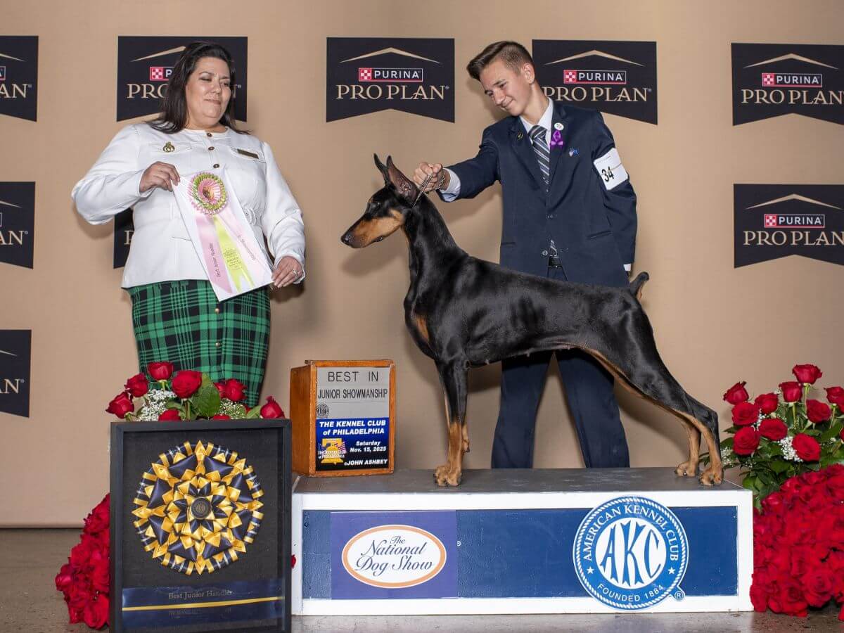 Blaine Crowder winning Best in Junior Showmanship at the 2025 National Dog Show under judge Erica Cross