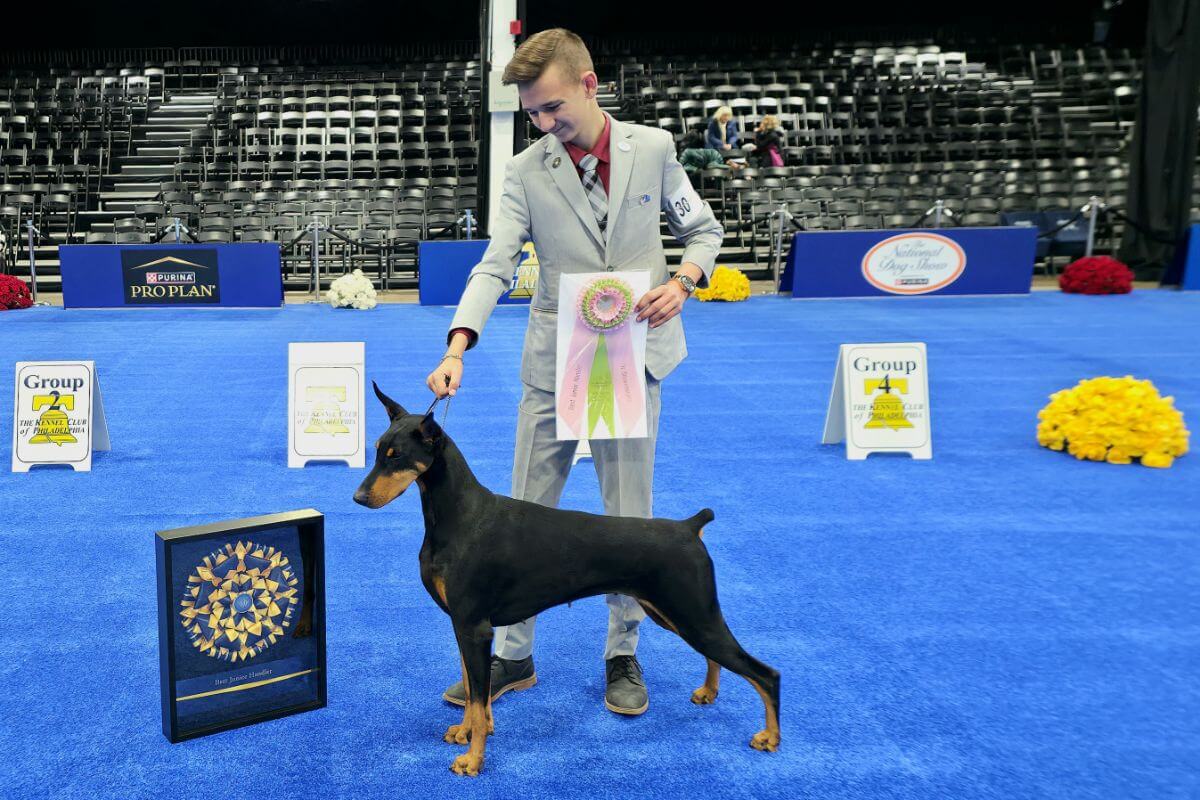 Blaine Crowder winning Best in Junior Showmanship at the 2025 National Dog Show