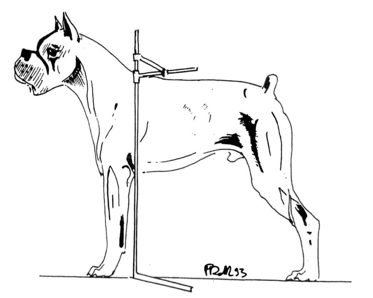Bonetti p. 49