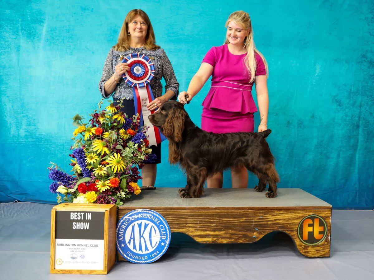 Colonel Best in Show