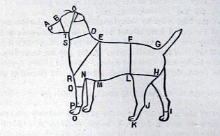 Shaw p. 298
