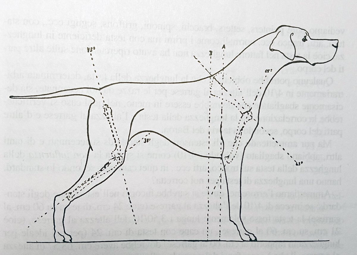 Solaro, p 62