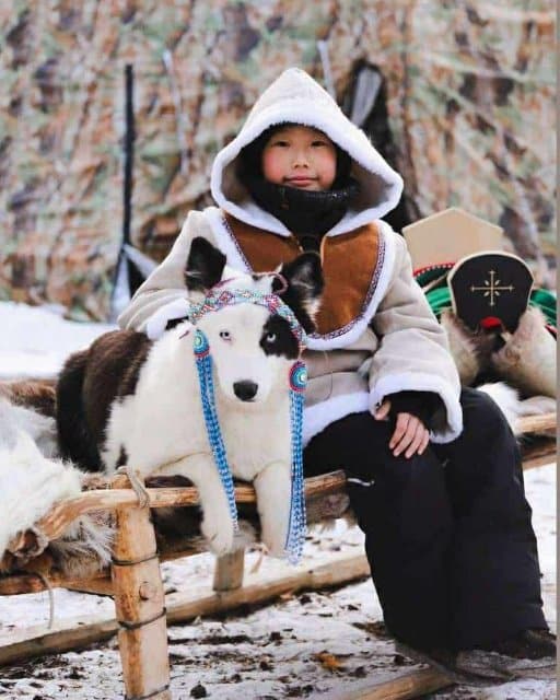 Yakutian Laika