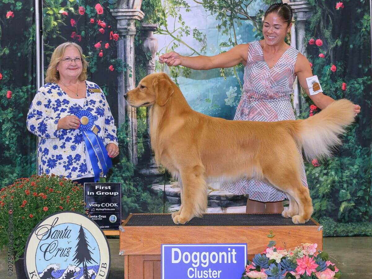 Ann Roth Judging