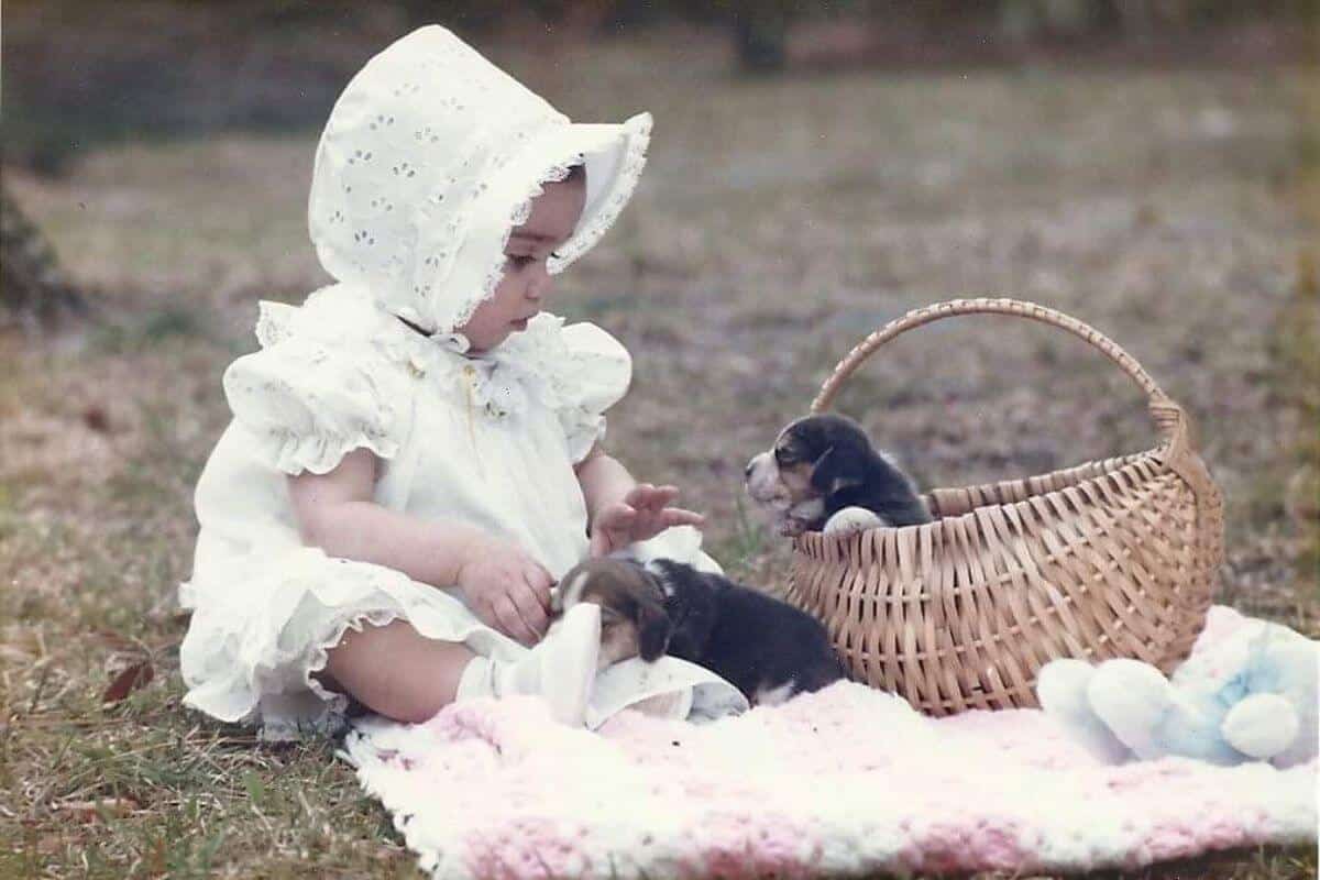 Young Ann Roth