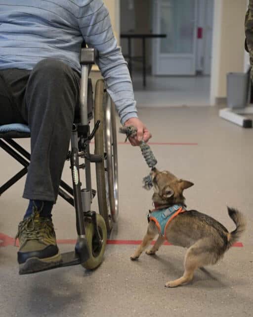Visit to the Rehabilitation Center and the Canine Training Center