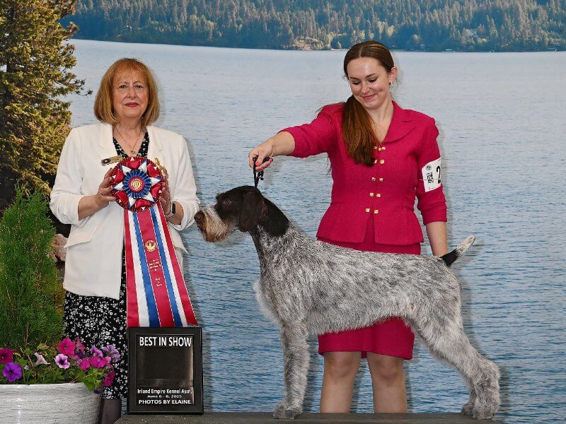 ‘Greta’ & Alexis Chism: 2025 AKC National Championship National Owner-Handled Series Finals BIS