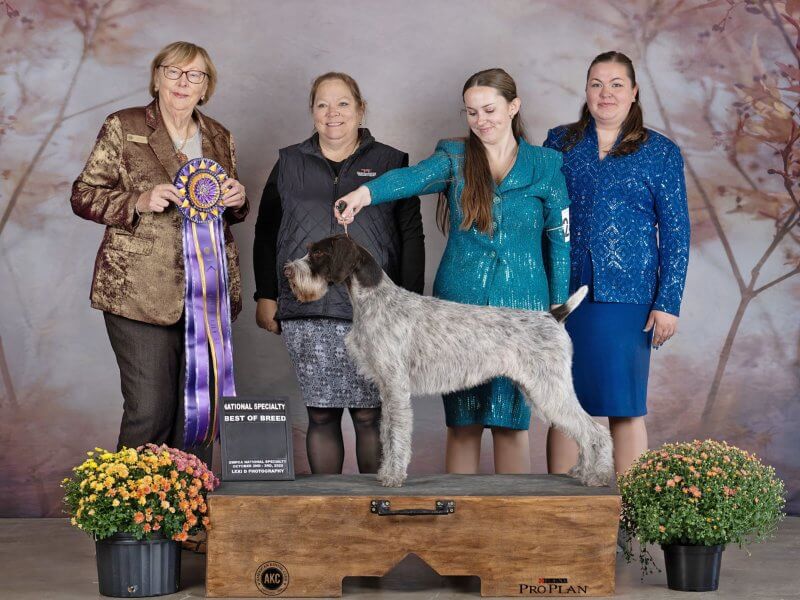 ‘Greta’ & Alexis Chism: 2025 AKC National Championship National Owner-Handled Series Finals BIS