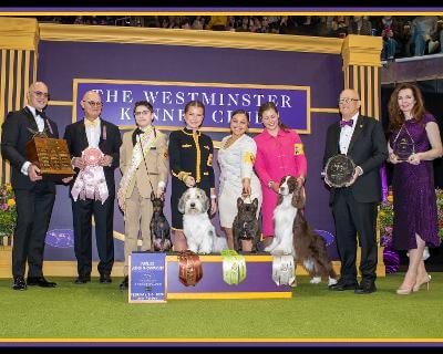 Hadrian and Simon pose for photos with, L to R, Westminster Kennel Club President Donald Sturz, Jr. Showmanship Finals Judge Michael Faulkner, Finalists Tatum Bartlett, Christine B. Roldan & Natalie Ryan Halfacre, WKC Vice President Thomas L. “Tommy” Millner, and Purina Trophy Presenter.