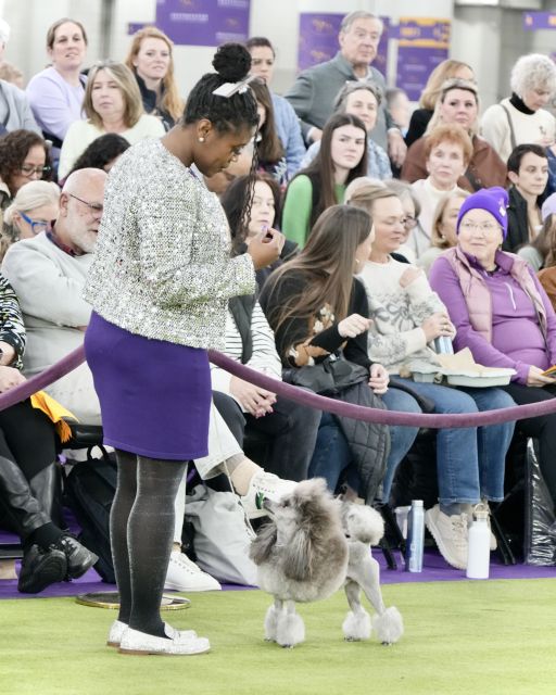 Karrol Courtney at the 2026 Wesminster Dog Show