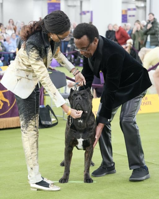 Robyn Salisbury: My Westminster Story