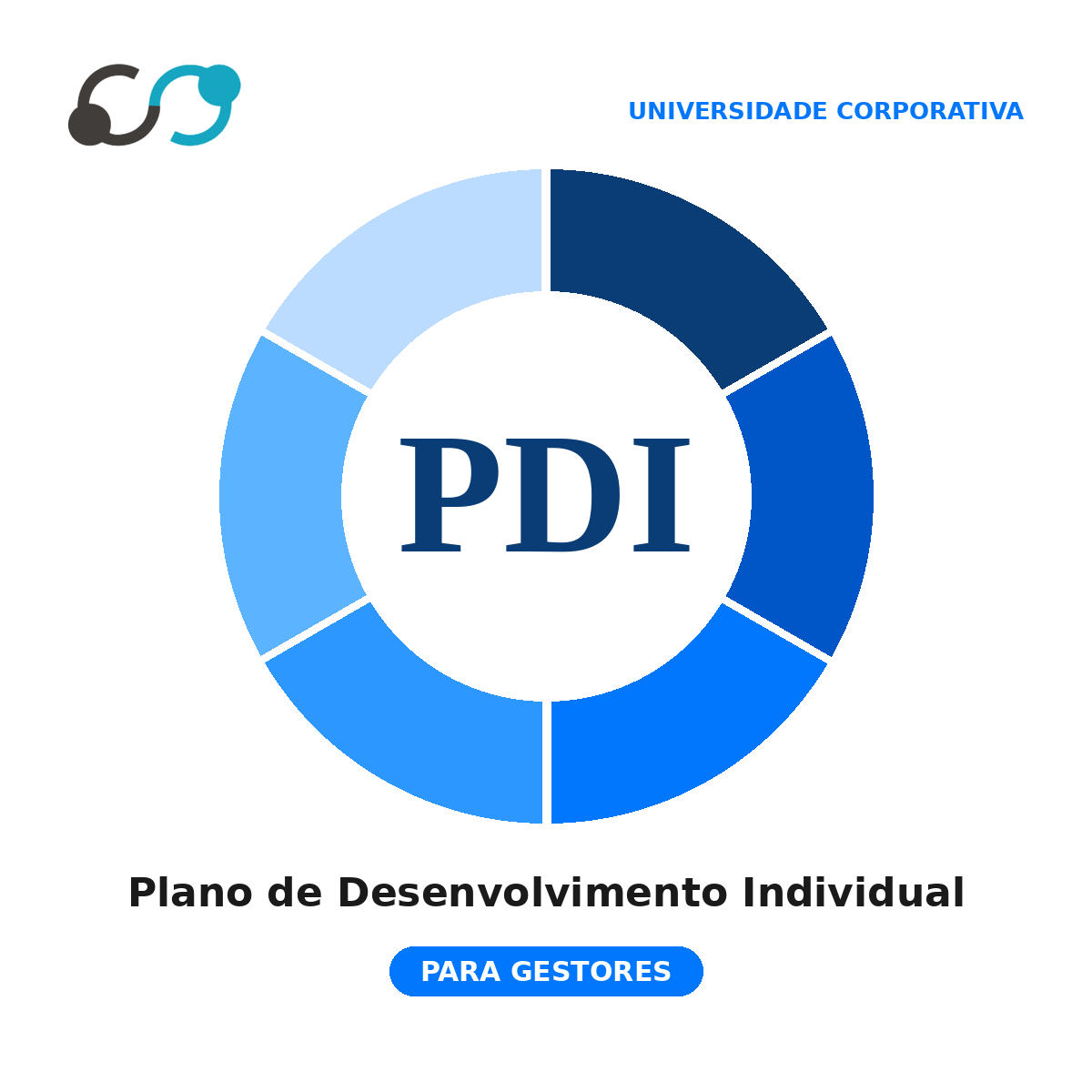 PDI- Gestores