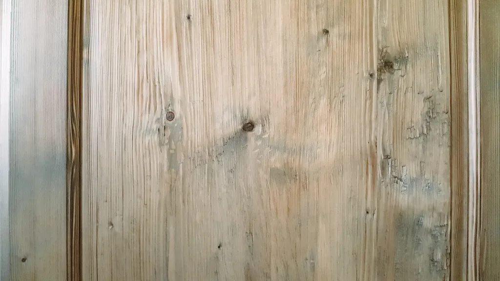 Naše dřevo foto