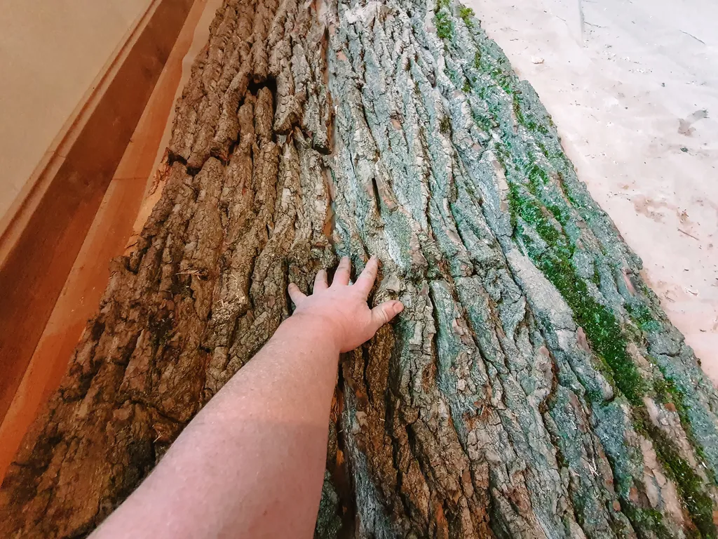 Pec pod Sněžkou foto