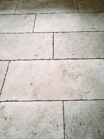 Image 100