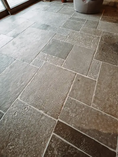 Image 5