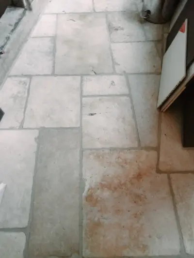 Image 27