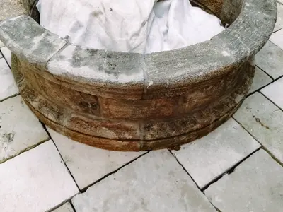 Image 31