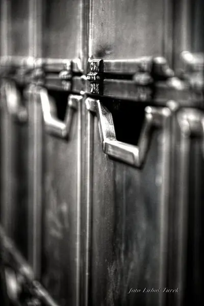 Image 15