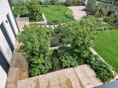 Image 11