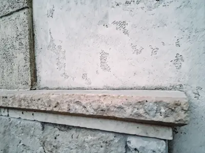 Image 54