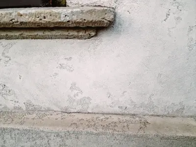 Image 61