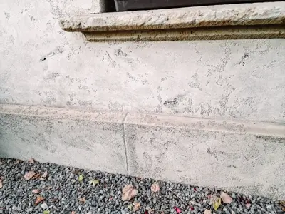Image 63