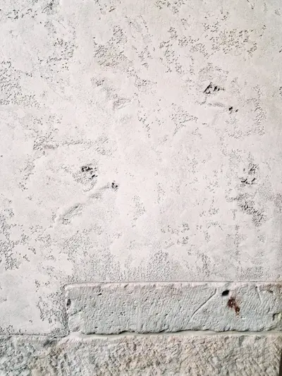 Image 64