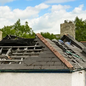 Schäden und Sanierung bei Holzdachstühlen und Fachwerken