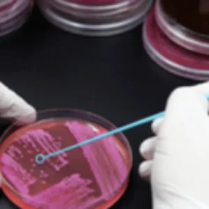 Grundlagen der Mikrobiologie und Bauphysik