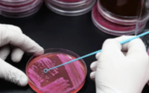 Grundlagen der Mikrobiologie und Bauphysik