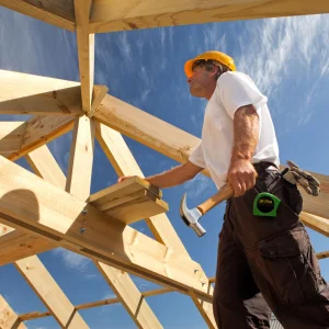 Gutachter:in für das Zimmererhandwerk und Holzschutz