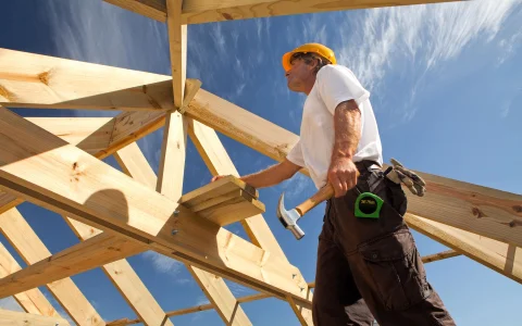 Gutachter:in für das Zimmererhandwerk und Holzschutz