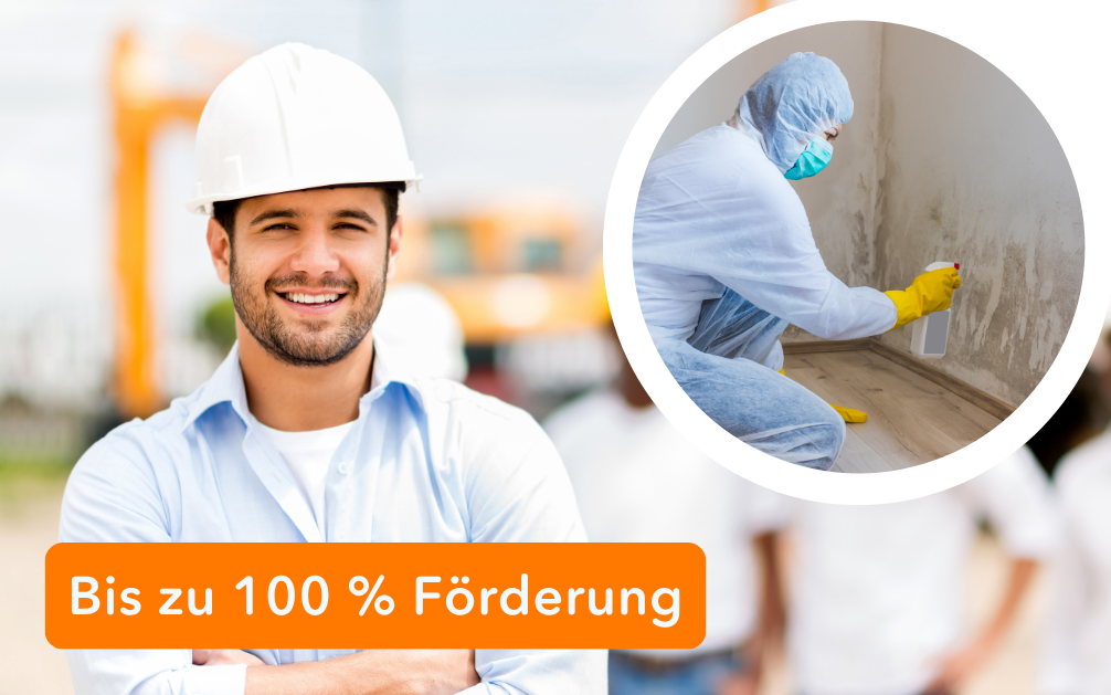 Gutachter:in für Gebäude- und Schimmelpilzschäden