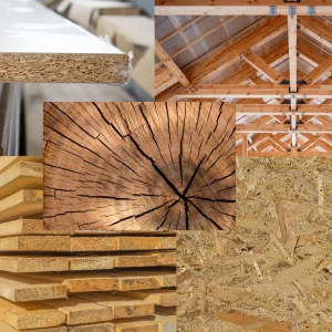 Holz und Holzwerkstoffe