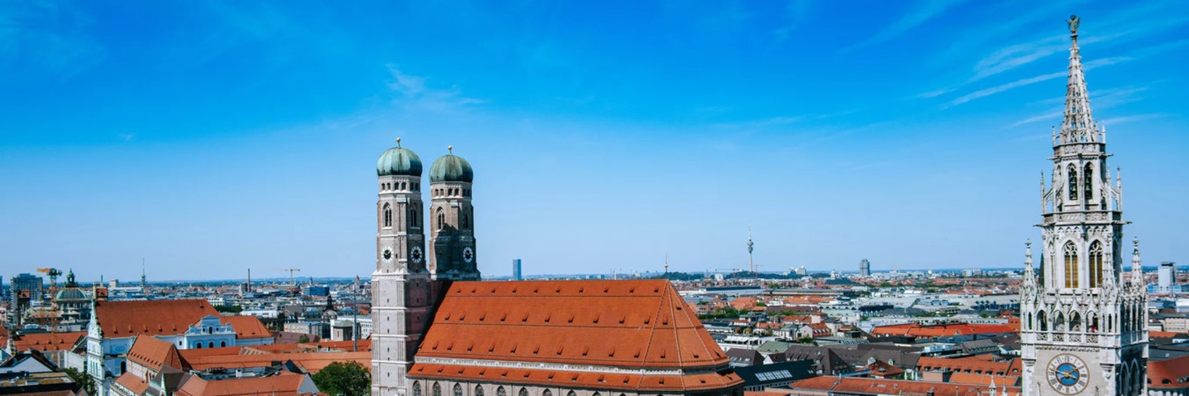 Profile Banner