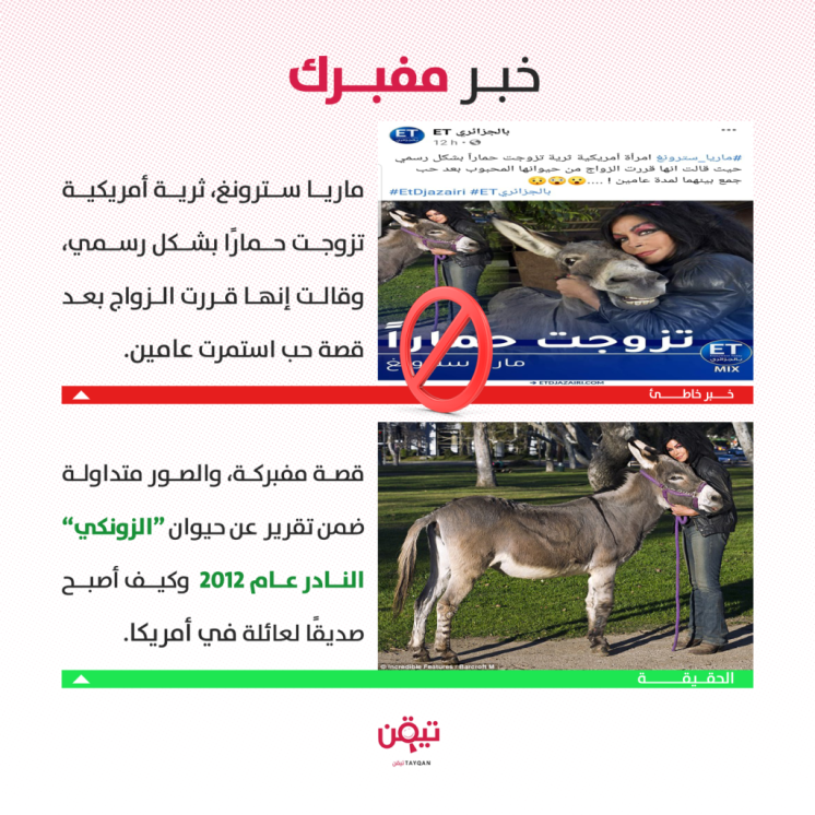 هذه الشابة لم تتزوج الحمار كما في الصور المتداولة!