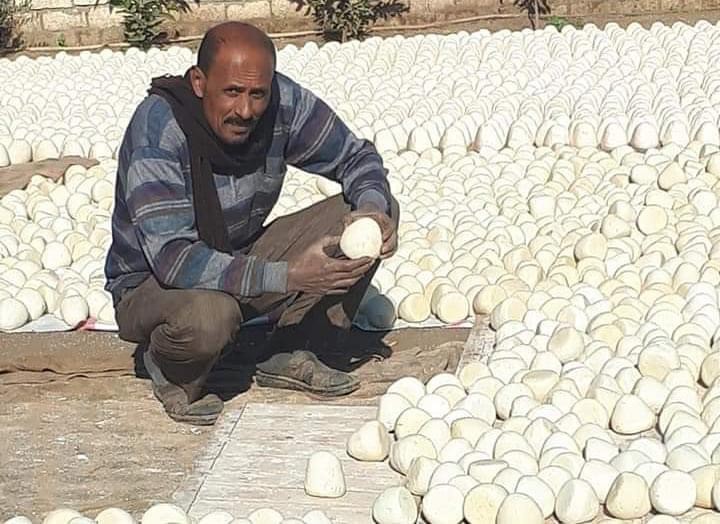 ما حقيقة الجميد المصنع من الدهان في مصر؟