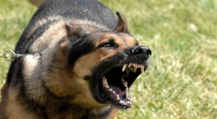 فيديو تهجم كلب على طفلة من بيت لحم وليس الأردن