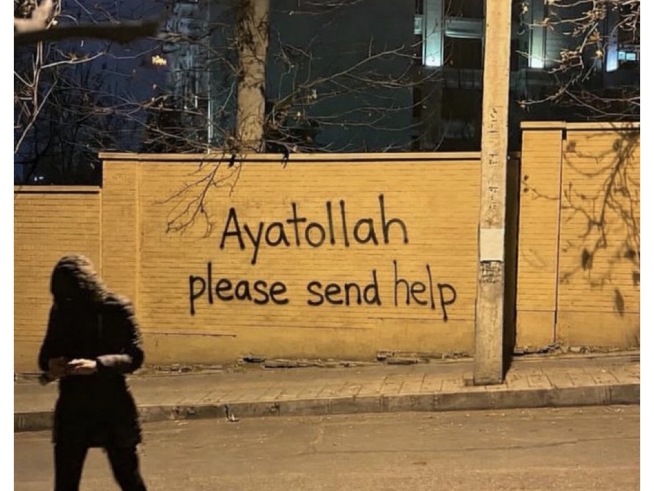 صورة مفبركة وليست لجدارية خطها متظاهرين أمريكيين مناهضين لأمريكا