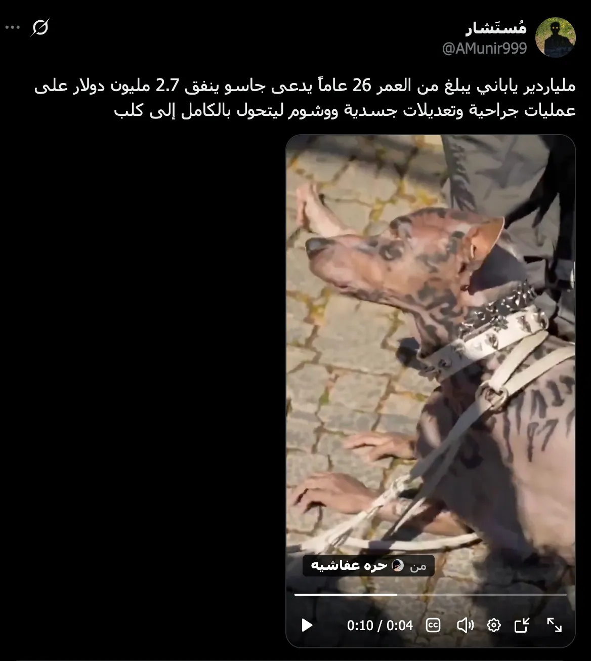 فيديو ملياردير ياباني أنفق 2.7 مليون دولار ليتحول إلى كلب مولّد بالذكاء الاصطناعي