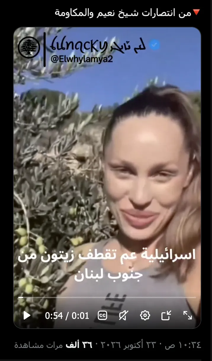 روسية تقطف الزيتون في جنوب لبنان وليست إسرائيلية